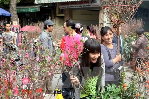 Le marché aux fleurs de Hang Luoc (Photo : Pham Kien/VNA)